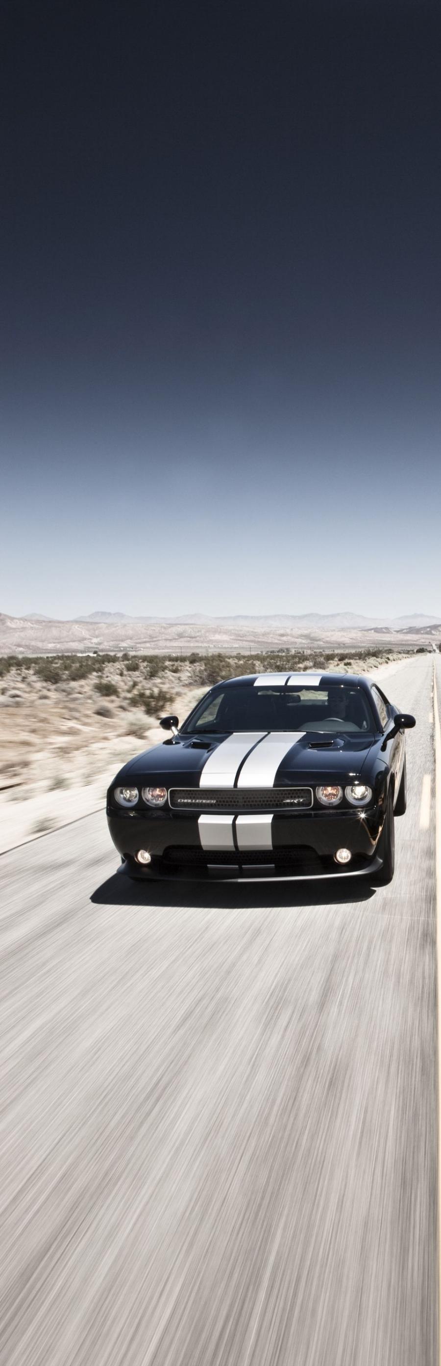  Dodge Challenger SRT8 392 2012 года  (фото 3 из 40)